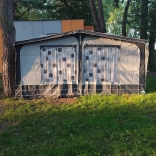                         Rubis Caravalier - zdjęcie 10
                        