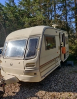                         Avondale Mayfly - zdjęcie 2
                        