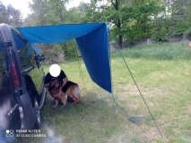                         Bus kamper Vivaro, Trafic, Primastar - zdjęcie 10
                        