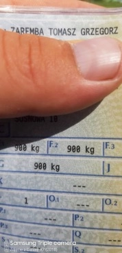                         Sprite Caprice 900 dmc - zdjęcie 2
                        