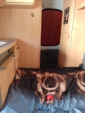                         Ranault Trafic Kamper - zdjęcie 10
                        