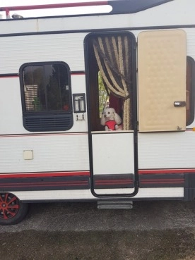                         Kamper Citroen C25 Lpg, wspomaganie 2.0, 1986 r., zarejestrowany w Polsce od 2016 - zdjęcie 9
                        