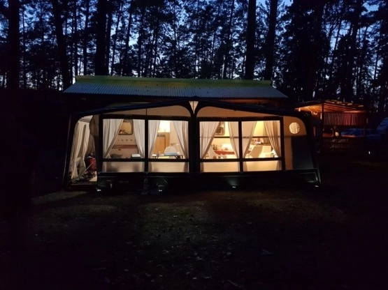                         Przedsionek Isabella Commodore Seed - zdjęcie 7
                        