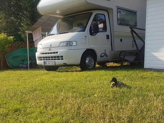                         Kamper Fiat Ducato 1999 rok, 12600 km - zdjęcie 18
                        