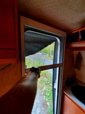                         Przyczepa kempingowa Niewiadów N126NT - zdjęcie 12
                        