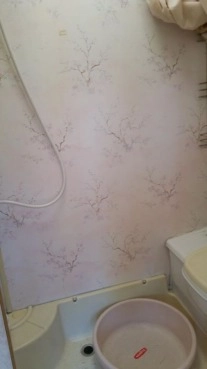                         Bailey Pageant 1995 - Zadbana - zdjęcie 6
                        