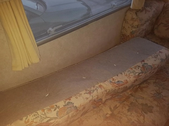                         Bailey Pegeant z moverem plus namiot, 1999 rok - zdjęcie 11
                        