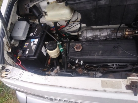                         Frankia - zdjęcie 2
                        