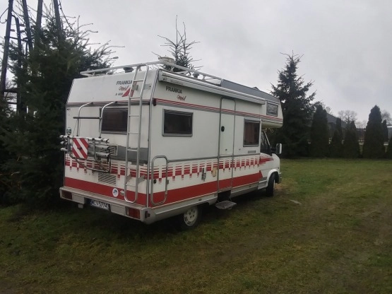                         Frankia - zdjęcie 6
                        