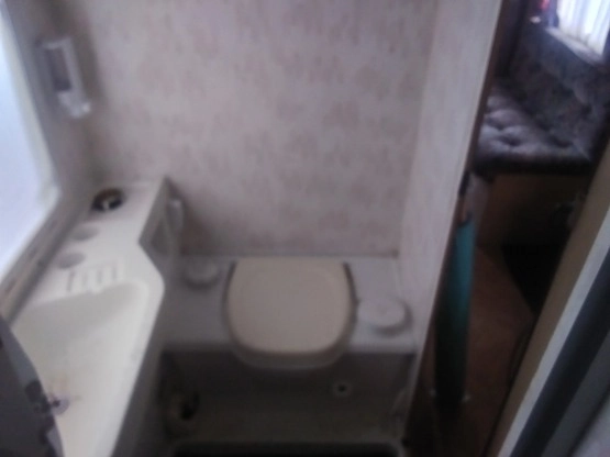                         Frankia - zdjęcie 7
                        