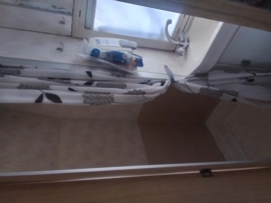                         Frankia - zdjęcie 8
                        