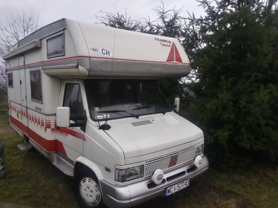                         Frankia - zdjęcie 9
                        