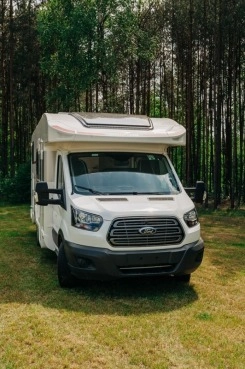                         Roller Team 284 TL z 2019 roku - zdjęcie 2
                        