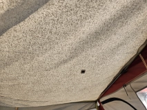                         Przedsionek  - zdjęcie 1
                        