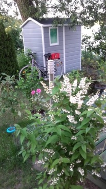                         DOMEK LETNISKOWY NAD JEZIOREM - zdjęcie 7
                        