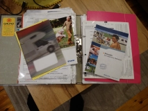                         Rimor Katamarano Ford - zdjęcie 3
                        