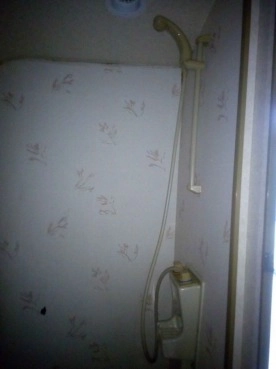                         Elddis Hurricane GT - zdjęcie 2
                        