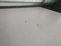                         FENDT BIANCO 515 SKM WARTA UWAGI !! - zdjęcie 17
                        