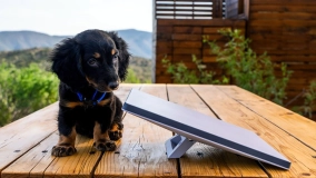                         Starlink Mini - wynajem camping, event, praca - wypożyczalnia starkit - zdjęcie 1
                        