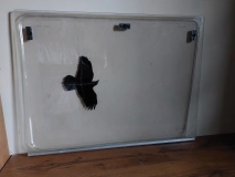                         okno do kampera - zdjęcie 1
                        