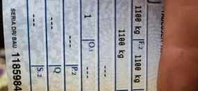                         Buccaner Elan 14 - zdjęcie 2
                        