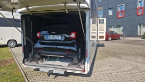                         Morelo Palace 90G - zdjęcie 5
                        