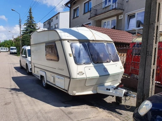                         Piękna angielka Abi Award Dawnstar - zdjęcie 1
                        