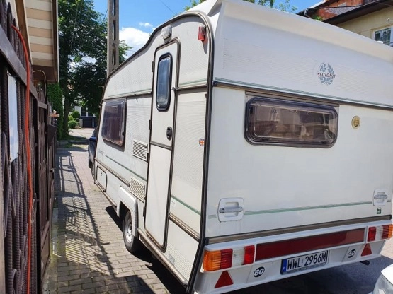                         Piękna angielka Abi Award Dawnstar - zdjęcie 4
                        