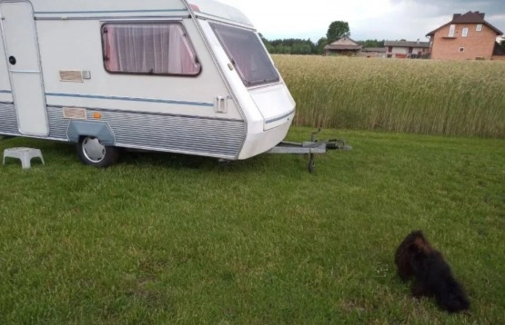                         Beyerland Vitesse 389/2 - zdjęcie 10
                        