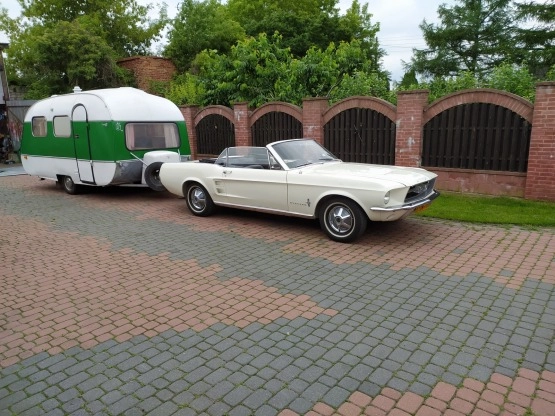                         Kemping Retro - zdjęcie 1
                        