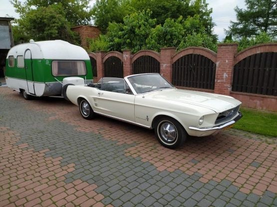                         Kemping Retro - zdjęcie 8
                        