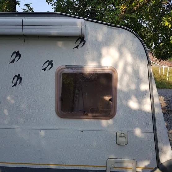                         Knaus 500, dmc 1500 kg, rok 2001 - zdjęcie 25
                        