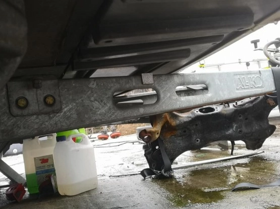                         Wilk de Luxe 1996 - zdjęcie 13
                        