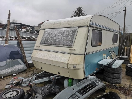                         Wilk de Luxe 1996 - zdjęcie 18
                        