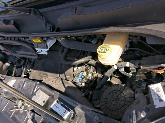                         Carado t339 - zdjęcie 17
                        