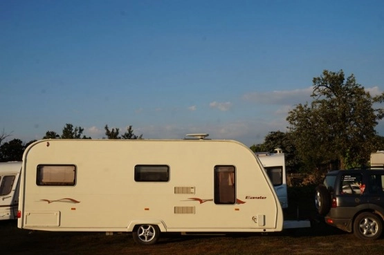                         AVONDALE EAGLE - zdjęcie 6
                        