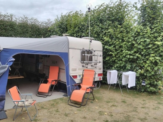                         Beyerland Bailey Scorpio XXL - zdjęcie 12
                        