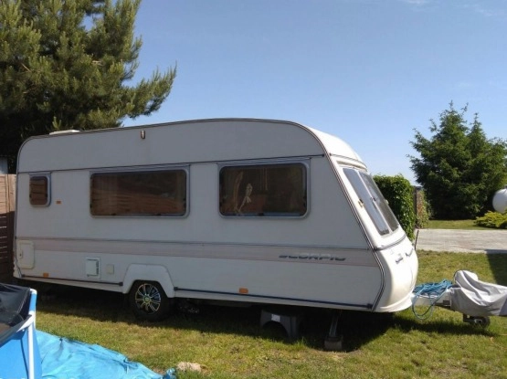                         Beyerland Bailey Scorpio XXL - zdjęcie 5
                        