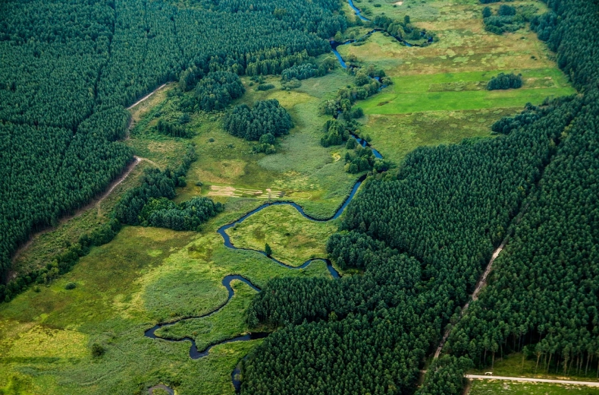 Gdzie znajduje się geometryczny środek Polski?