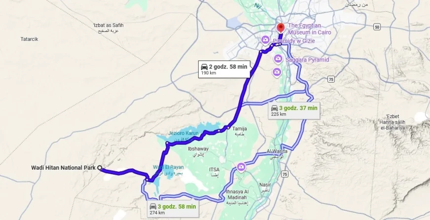 Gdzie można obejrzeć szkielety wielorybów na pustyni?  7