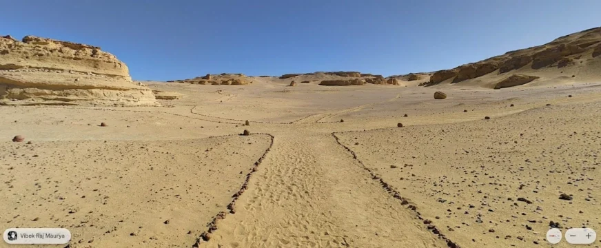 Gdzie można obejrzeć szkielety wielorybów na pustyni?  8