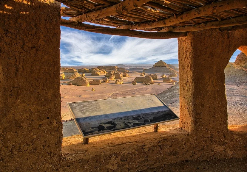Gdzie można obejrzeć szkielety wielorybów na pustyni?  5