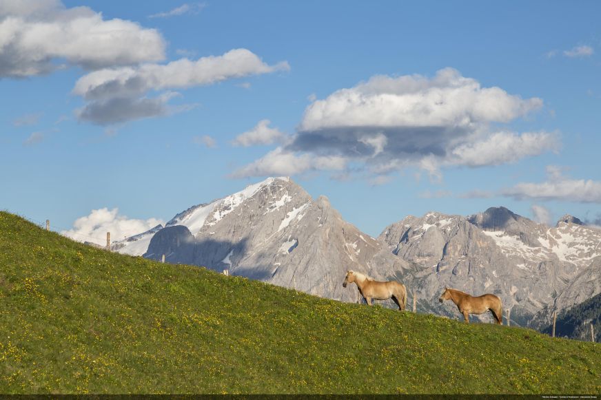 Dolomity: caravaning w górach wpisanych na listę UNESCO 5