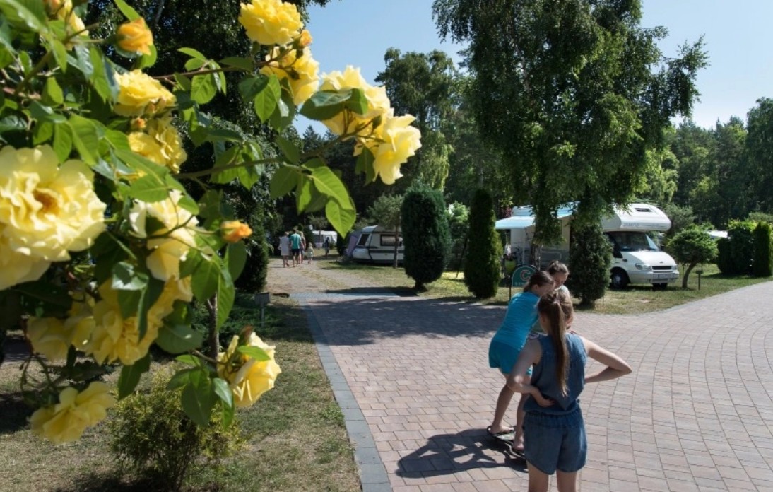 Camping Morski Łeba 