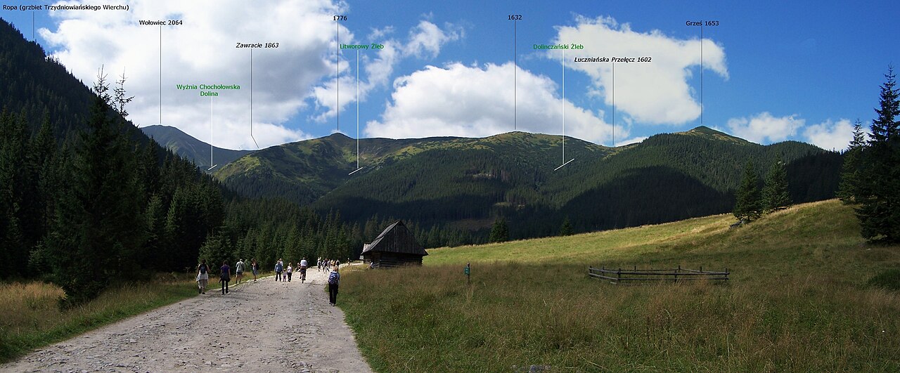 Szlaki w Tatrach dla średnio zaawansowanych - Dolina Chochołowska 