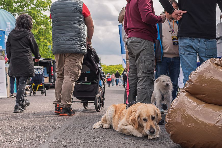 Warsaw Caravaning Festival 2026 – weekend pełen podróży, inspiracji i rodzinnej atmosfery w sercu Warszawy 9