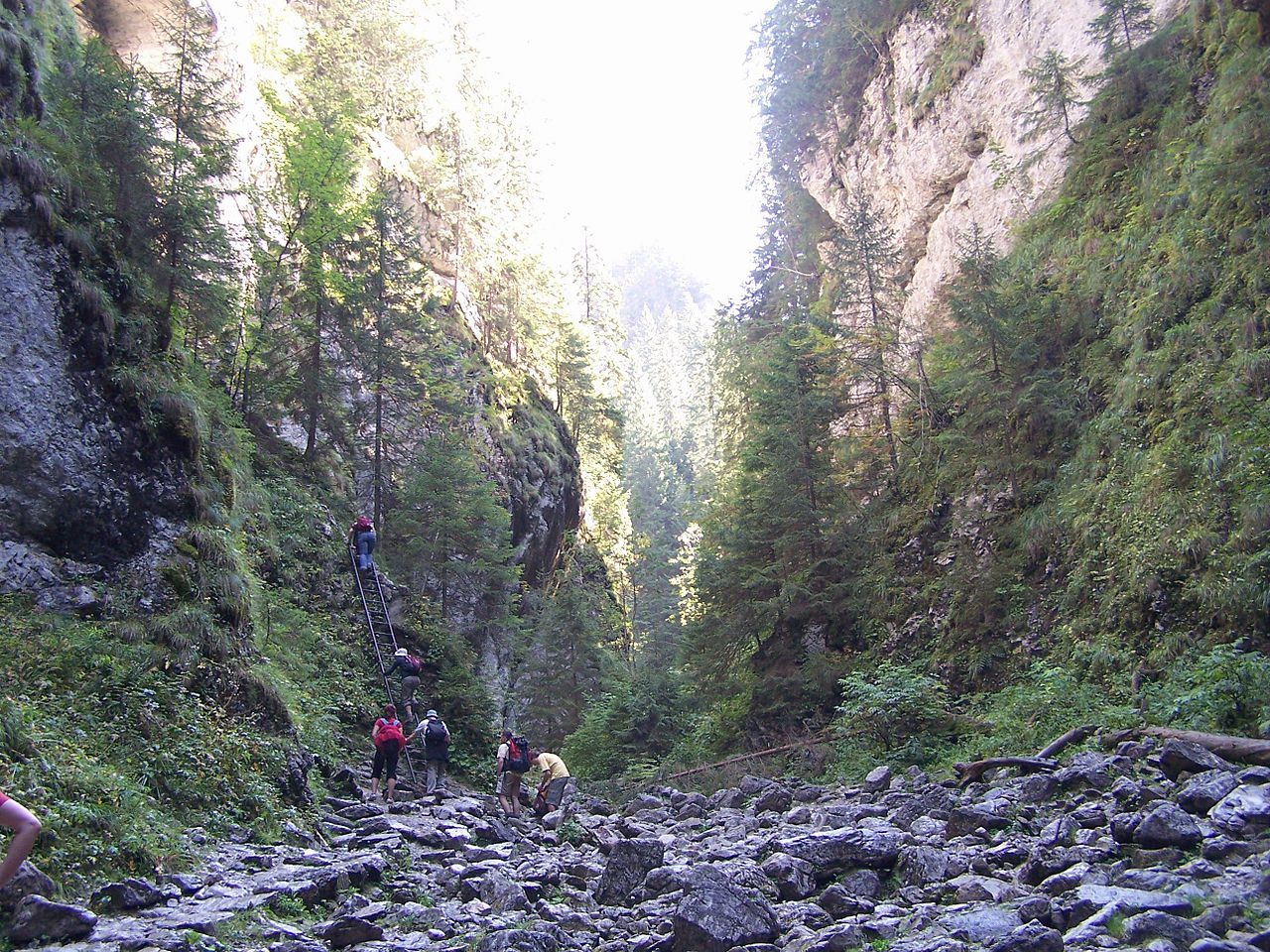 Szlaki w Tatrach dla średnio zaawansowanych - Wąwóz Kraków 