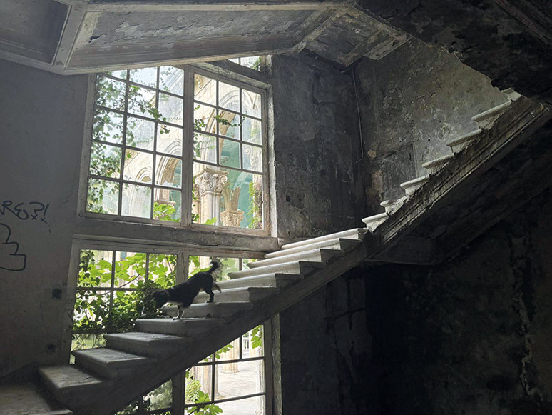 Azja na czterech kołach. Nasza droga przez Gruzję i Armenię 6