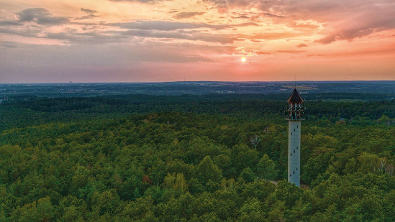 Wielkopolska – spokojny wypoczynek nad jeziorami 9
