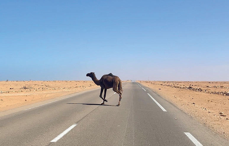 Zima na Saharze w starym kamperze 7